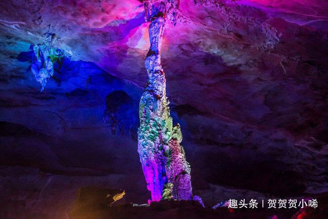 “盗”此为止！组团偷狗的这对表兄弟被抓啦！