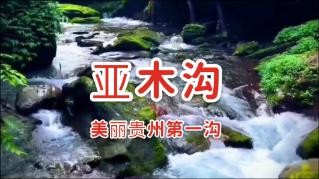家长纳闷：“高马尾”在中学生里逐渐消失，低马尾鲶鱼头取而代之