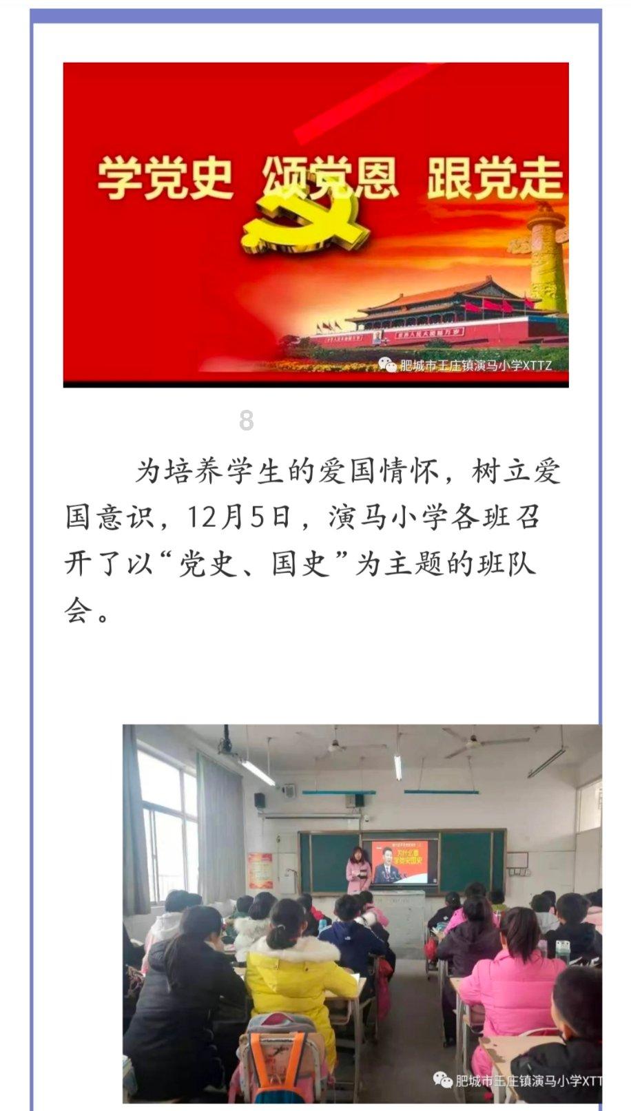 拯救受伤的猫