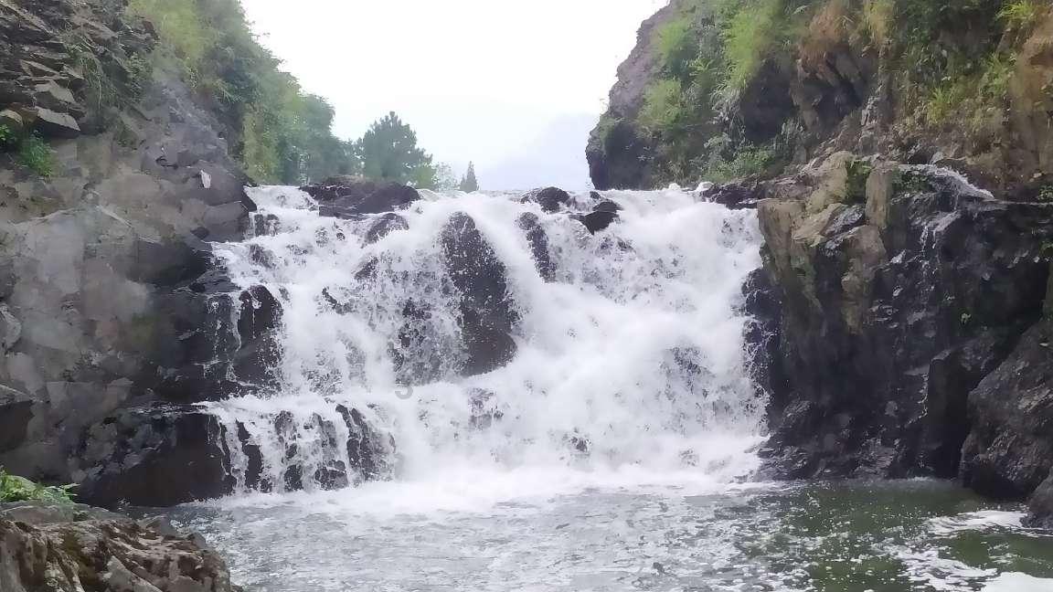 逃出蜜蜂岛